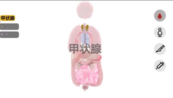 预览图1
