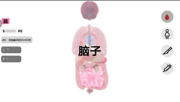 预览图3