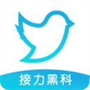 飞鸟下载器 v3.96