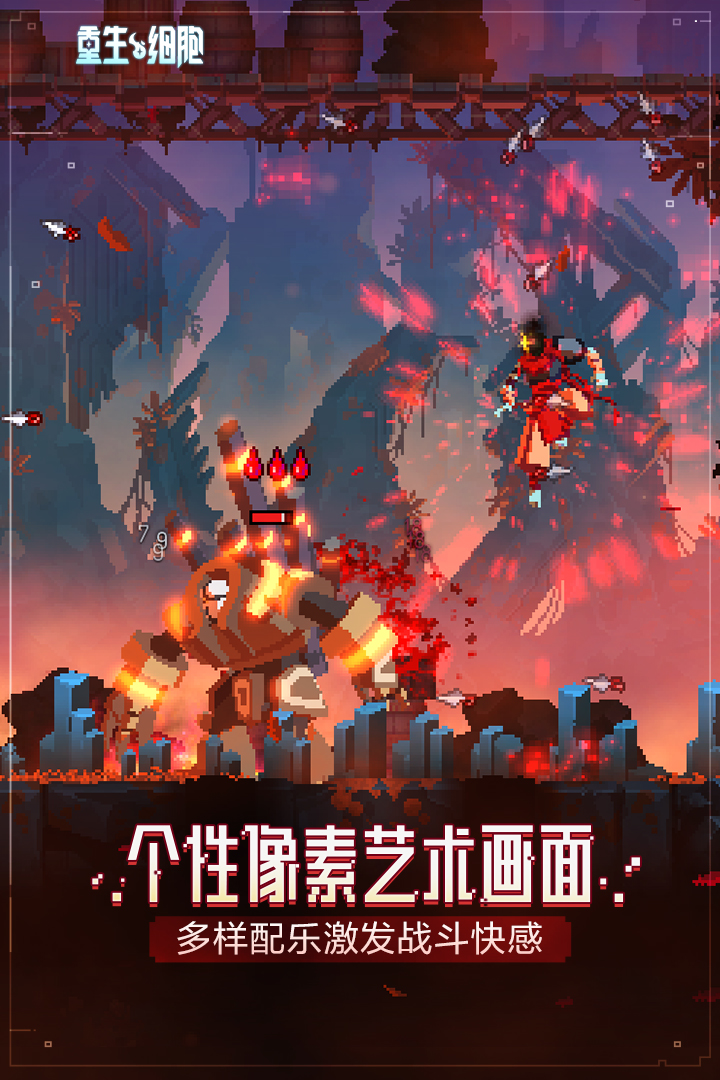 预览图2