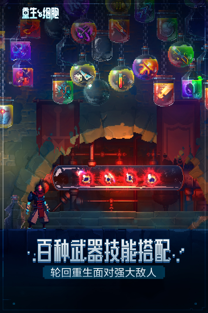 预览图1