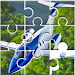 益智飞机游戏(Puzzles airplane game)