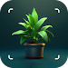 植物识别器软件(Plantology Plant Identifier)