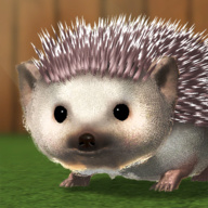我的刺猬游戏(hedgehog)
