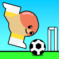 足球比赛踢球和得分游戏(Soccer Game Kick Score)