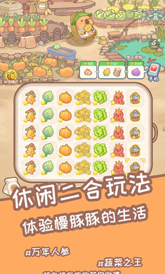 预览图3