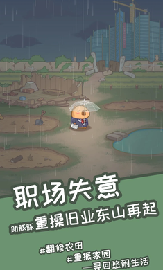 预览图4