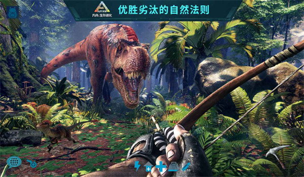 预览图4