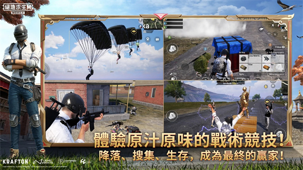 预览图2