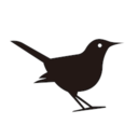 懂鸟app v1.0.15