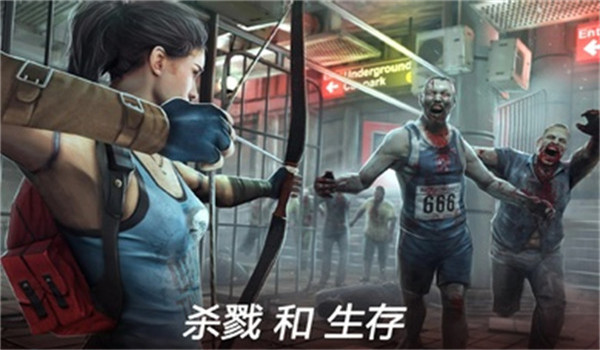 预览图2