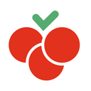 CheryStudio软件 v1.1