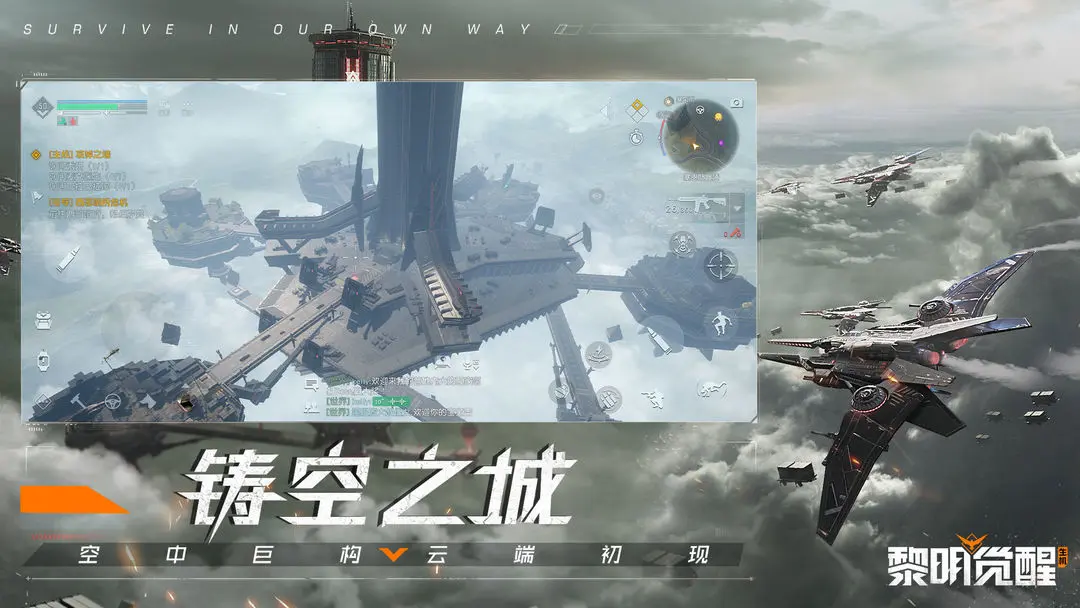 预览图3