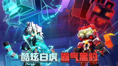 预览图2