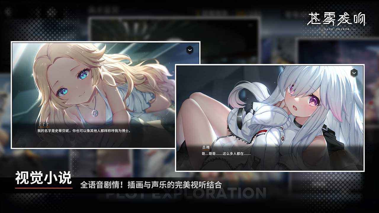 预览图4