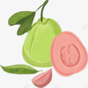 香蕉芭乐app v1.1