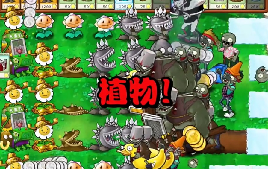 预览图2