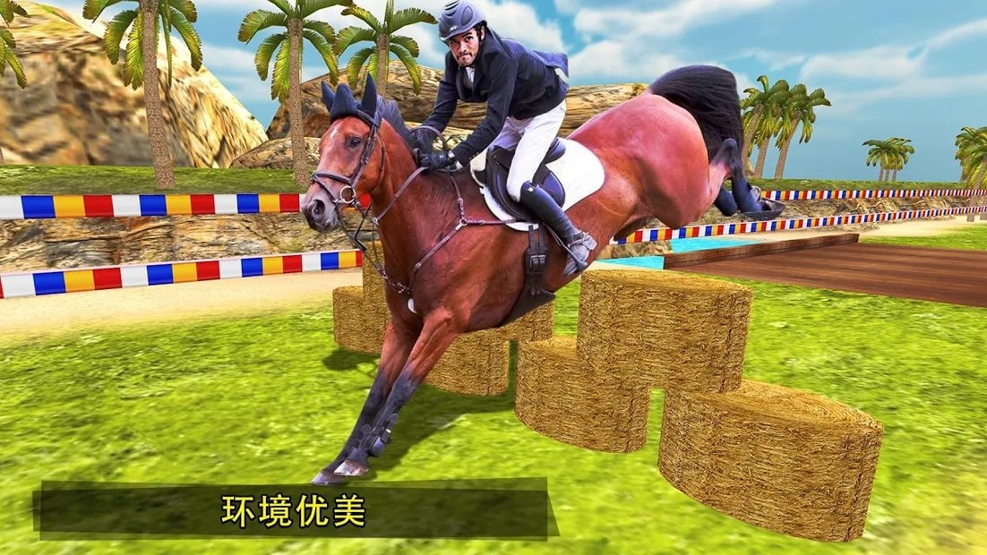 预览图3