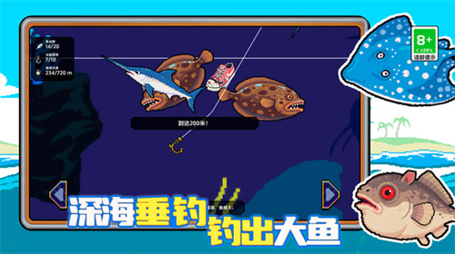 预览图3
