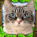 流浪猫模拟器中文版 v1.0.4