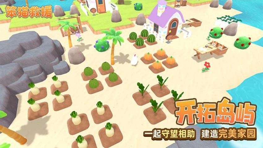 预览图3