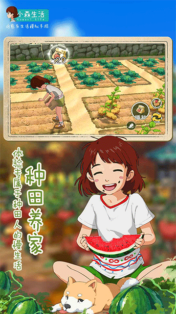 预览图3