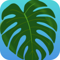 植物疗愈纽约时光游戏 v250312.13