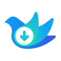 云雀视频下载助手 v18.21