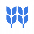 稻壳文档 v10.10.10