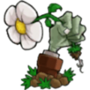 植物大战僵尸锤版 v0.24