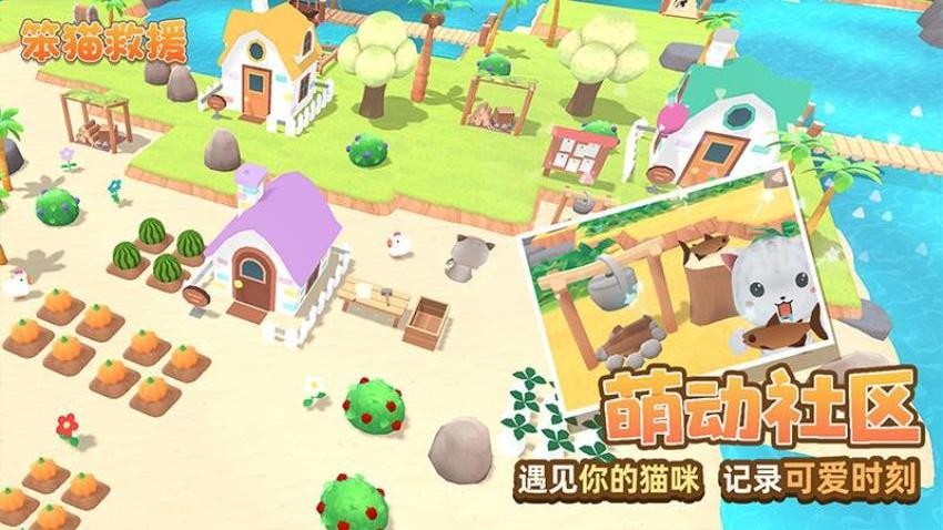 预览图2