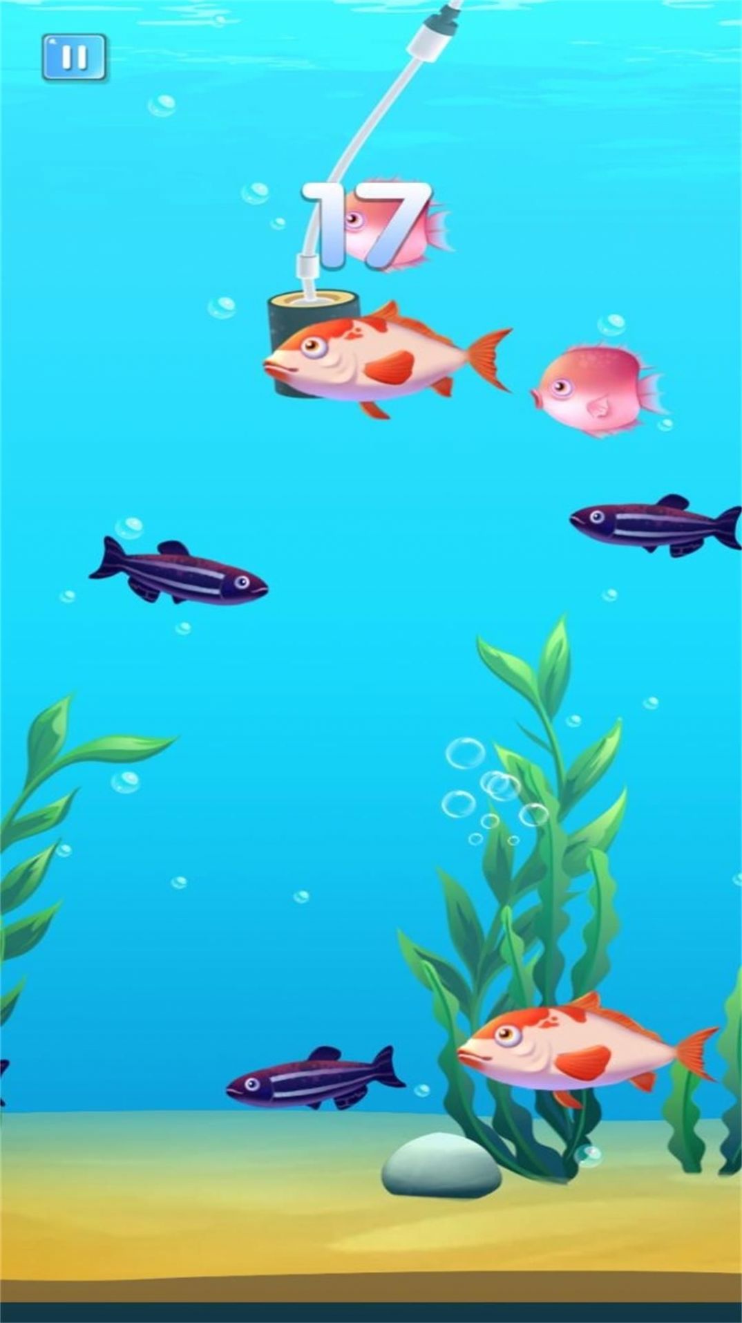 预览图3