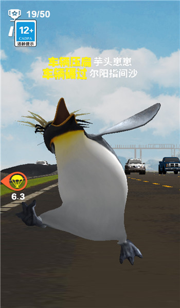 预览图1