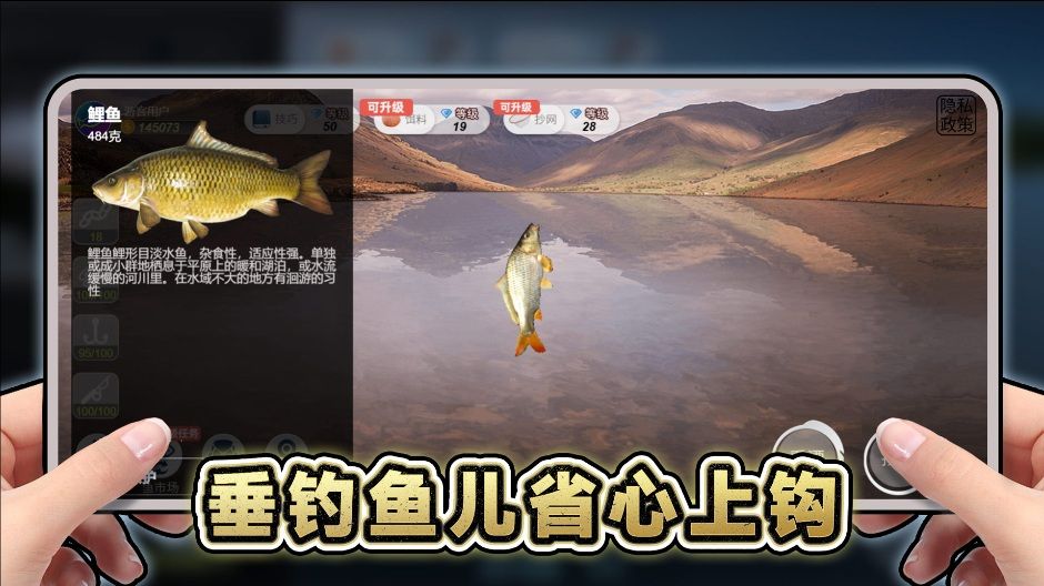 预览图2