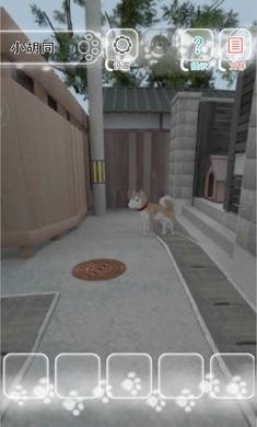 预览图3