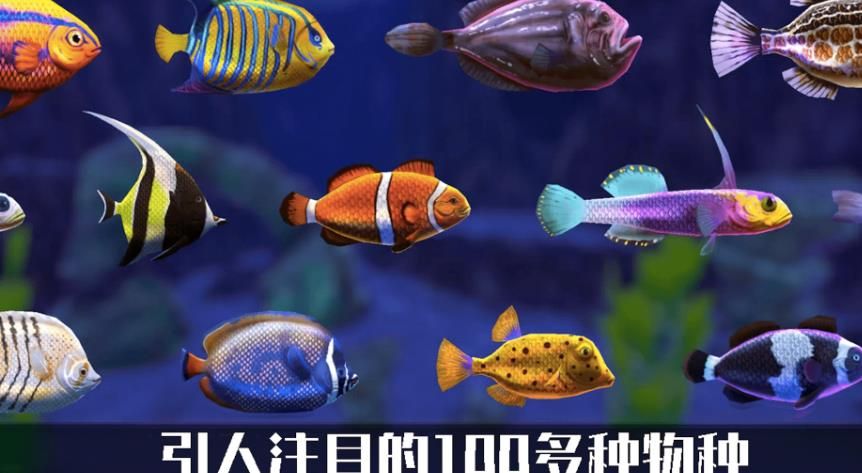 预览图3