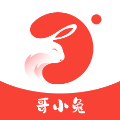 哥小兔app 6.1