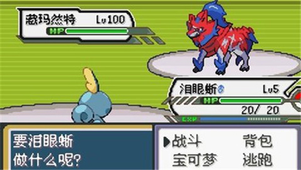 预览图4