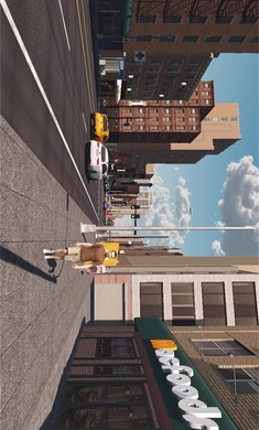 预览图3