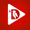 丁丁剧场app v1.1