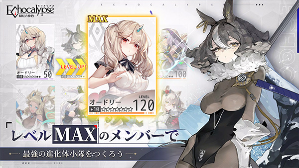 预览图4