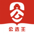 公选王遴选 v4.8.0