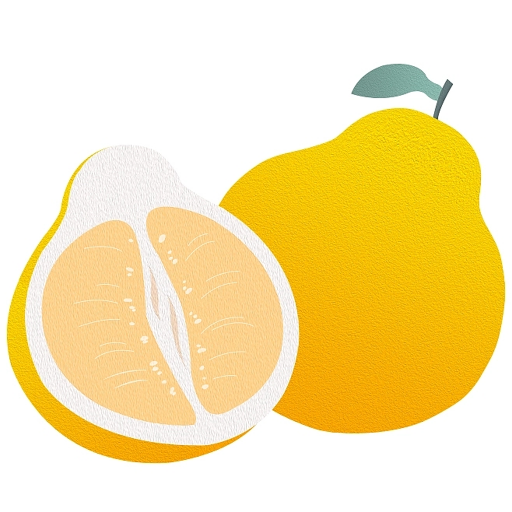 柚子快报告app v1.1