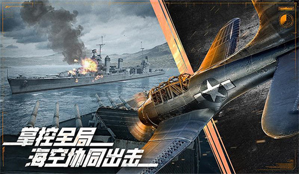 预览图4