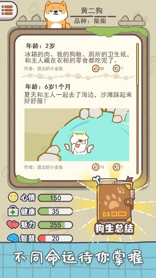 预览图1