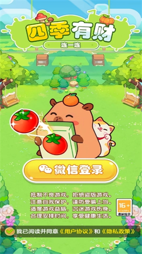 预览图2