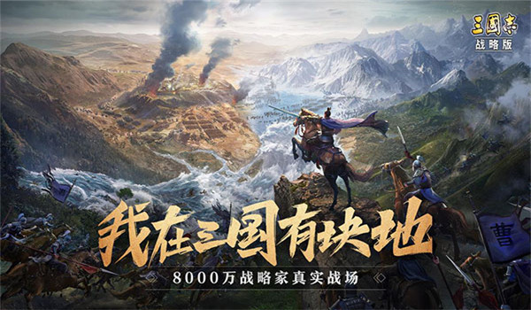 预览图4