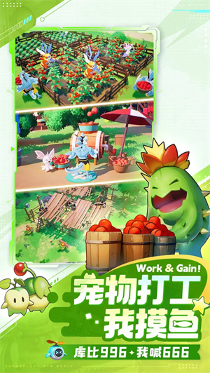 预览图3