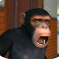 猿猴进化游戏 v1.2