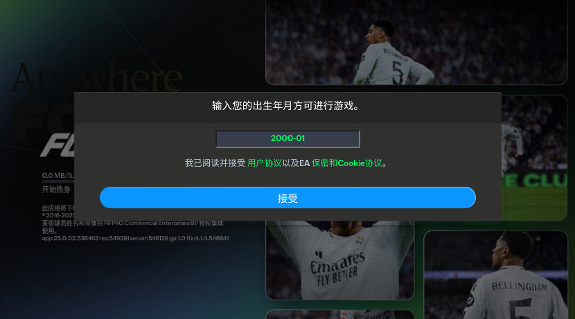 预览图3